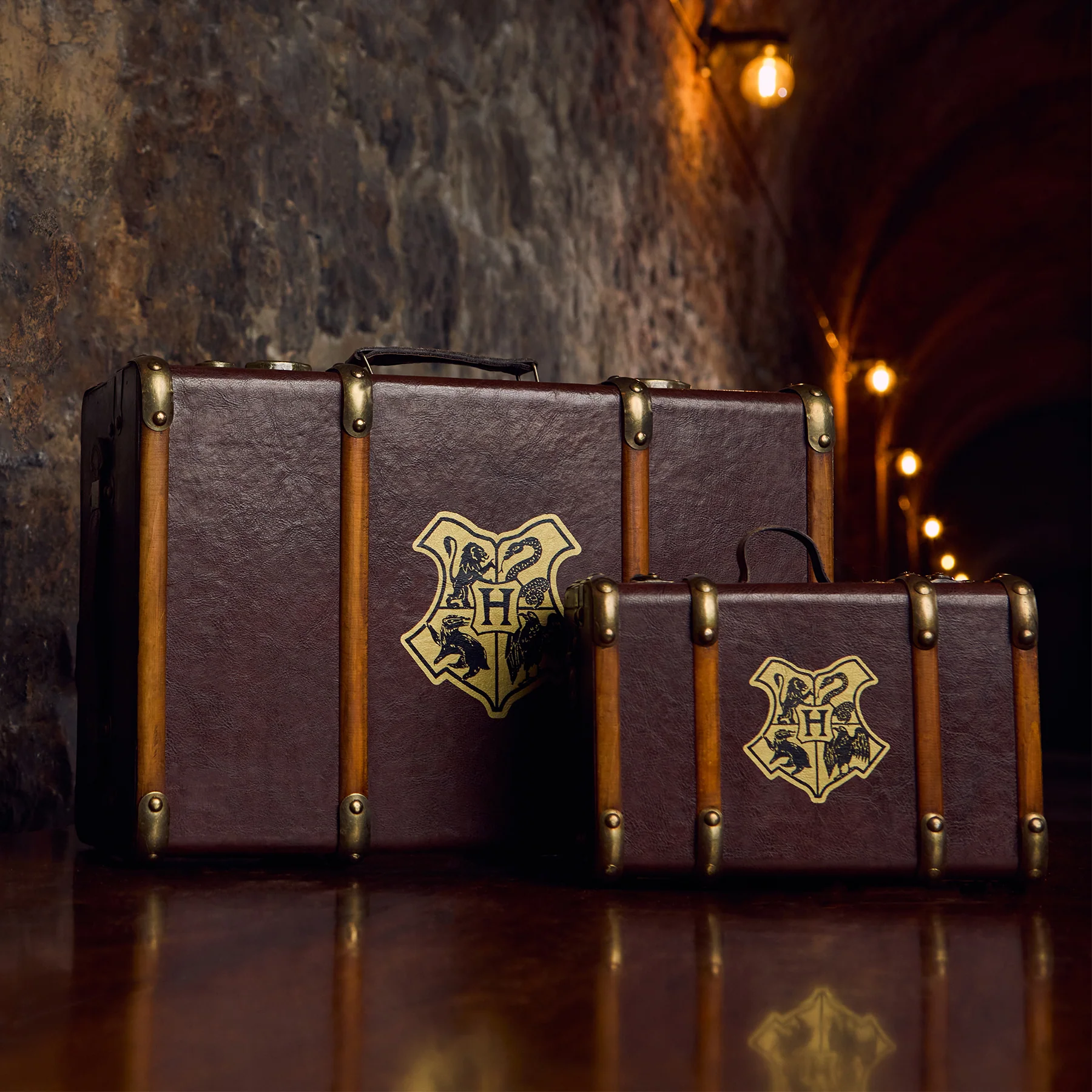 Hogwarts School Trunk Replica Combo - Image 2